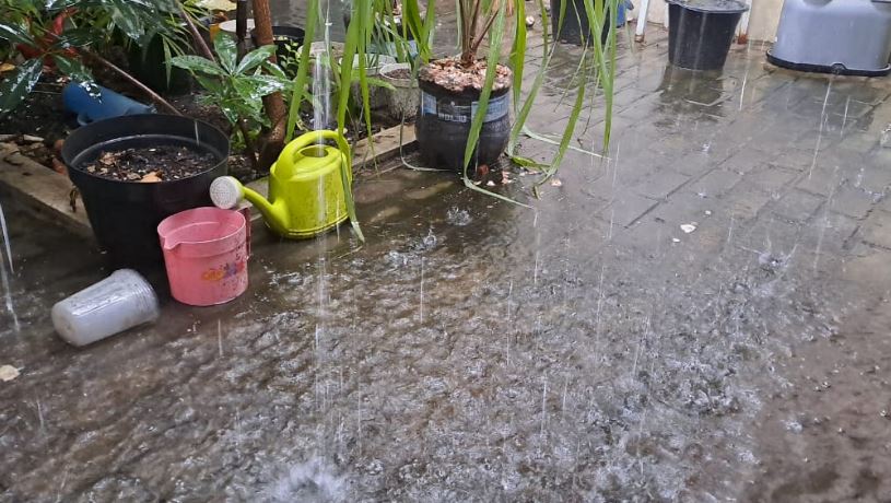 BMKG Perkirakan Cuaca 2026 Normal Sepanjang Tahun,  Petani Perlu Waspadai Potensi Hujan di Musim Kemarau