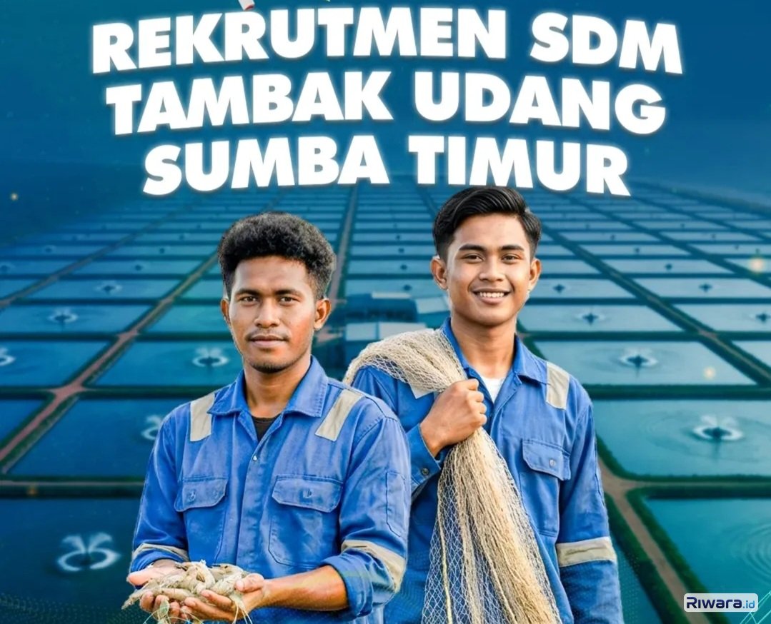 BPPSDM KKP Membuka Rekrutmen untuk SDM Tambak Udang Sumba Timur