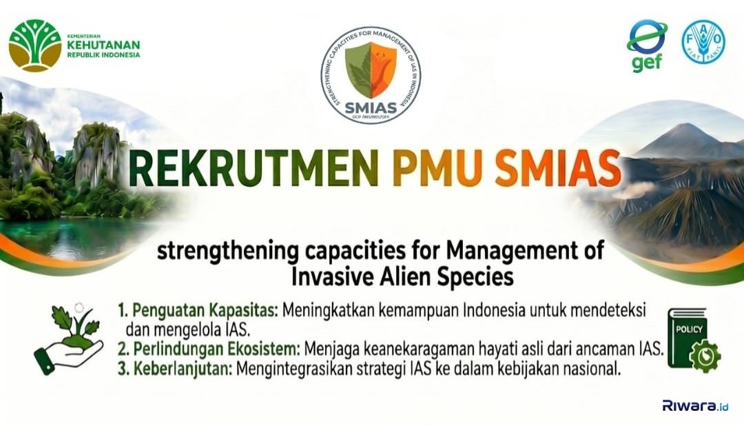 Tertarik untuk Menjaga Kelestarian Alam? Kementerian Kehutanan Buka Rekrutmen PMU SMIAS, Ini Dia 9 Posisi Jabatan yang Dibutuhkan