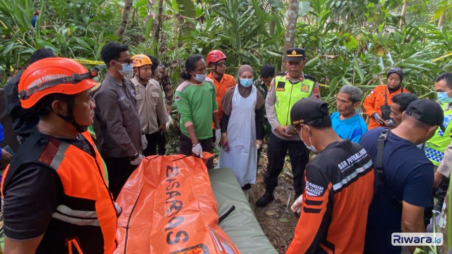 Tim SAR Gabungan Evakuasi Jenazah Warga Purbalingga dari Puncak Pohon Kelapa