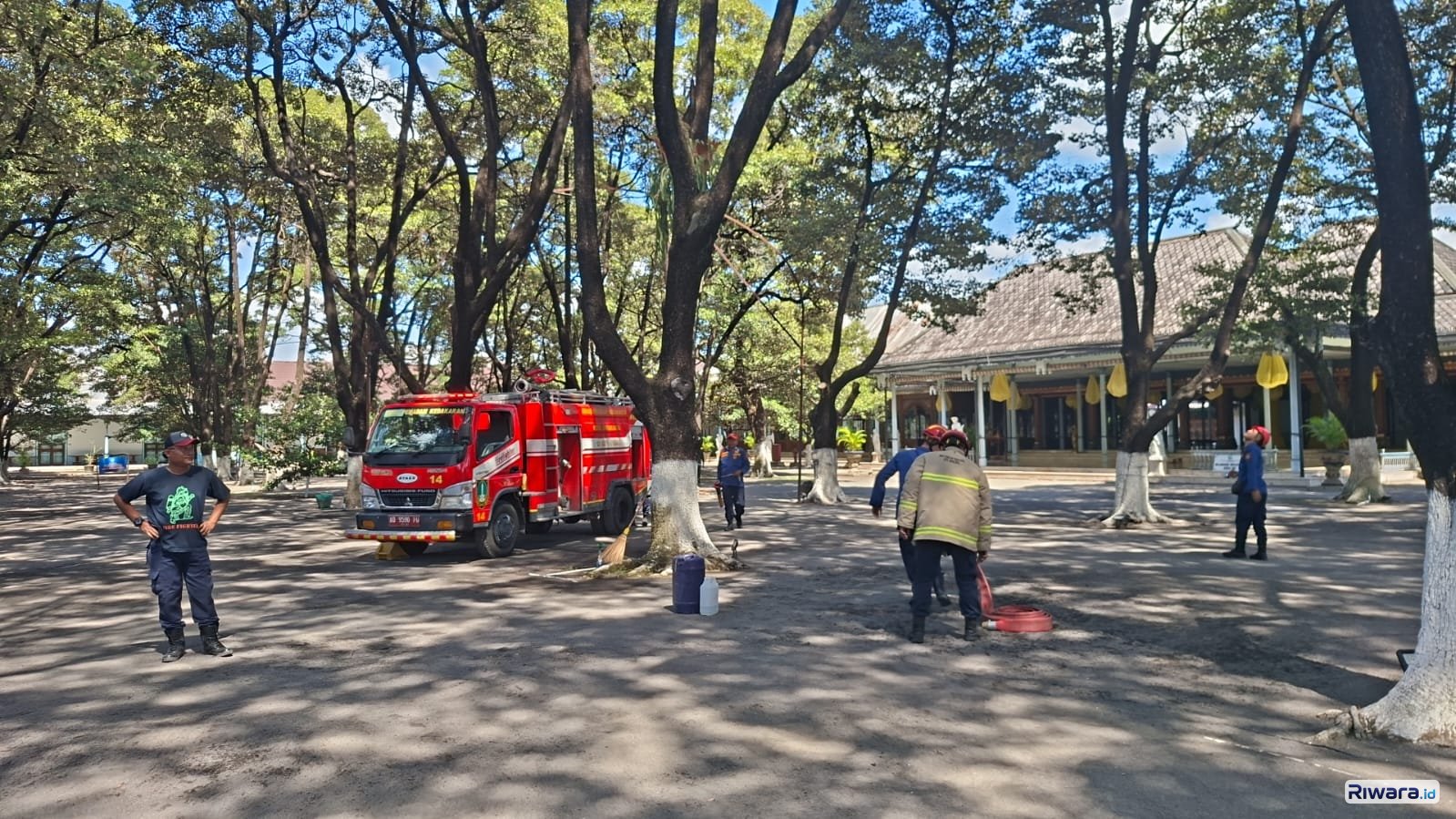 Jaga Keselamatan Program Revitalisasi, Damkar Kota Surakarta Bersihkan Sarang Tawon Vespa di Karaton Surakarta Hadiningrat