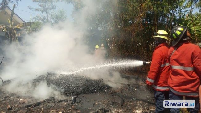 Kebakaran Hutan Riau Tembus 15 Ribu Hektare: Belasan Ribu Personel Dikerahkan, Puluhan Pembakar Lahan Diringkus