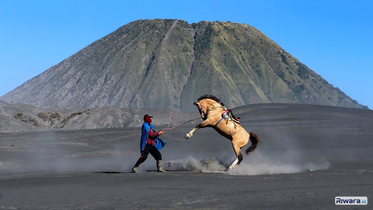 Bromo Ditutup? Tenang, Ini 5 Alternatif Wisata Alam yang Tidak Kalah Memukau, Ada Negeri di Atas Awan B29
