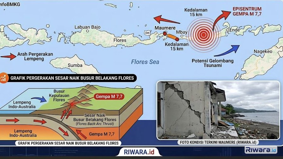 Penyebab Gempa Dahsyat M 7,7 NTT Terungkap: BMKG Peringatkan Potensi Sesar Naik Flores