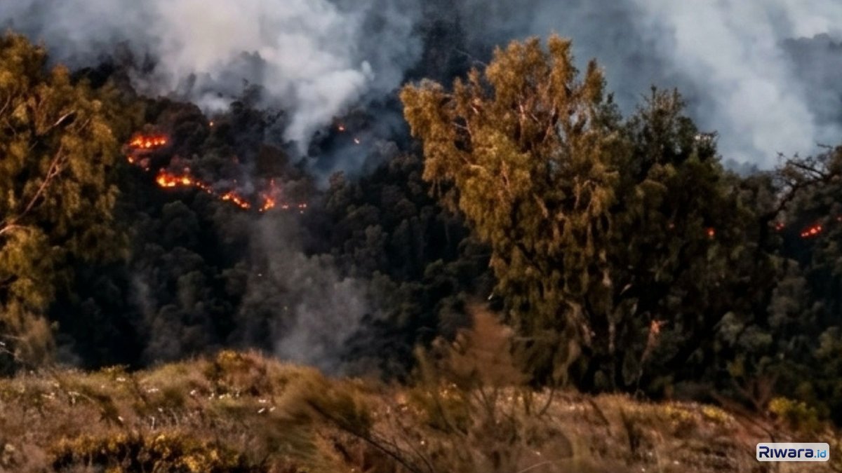 Setelah Bromo, Kini Kebakaran Hebat Landa Kawasan Gunung Arjuno-Welirang, Akses Pendakian Resmi Ditutup!