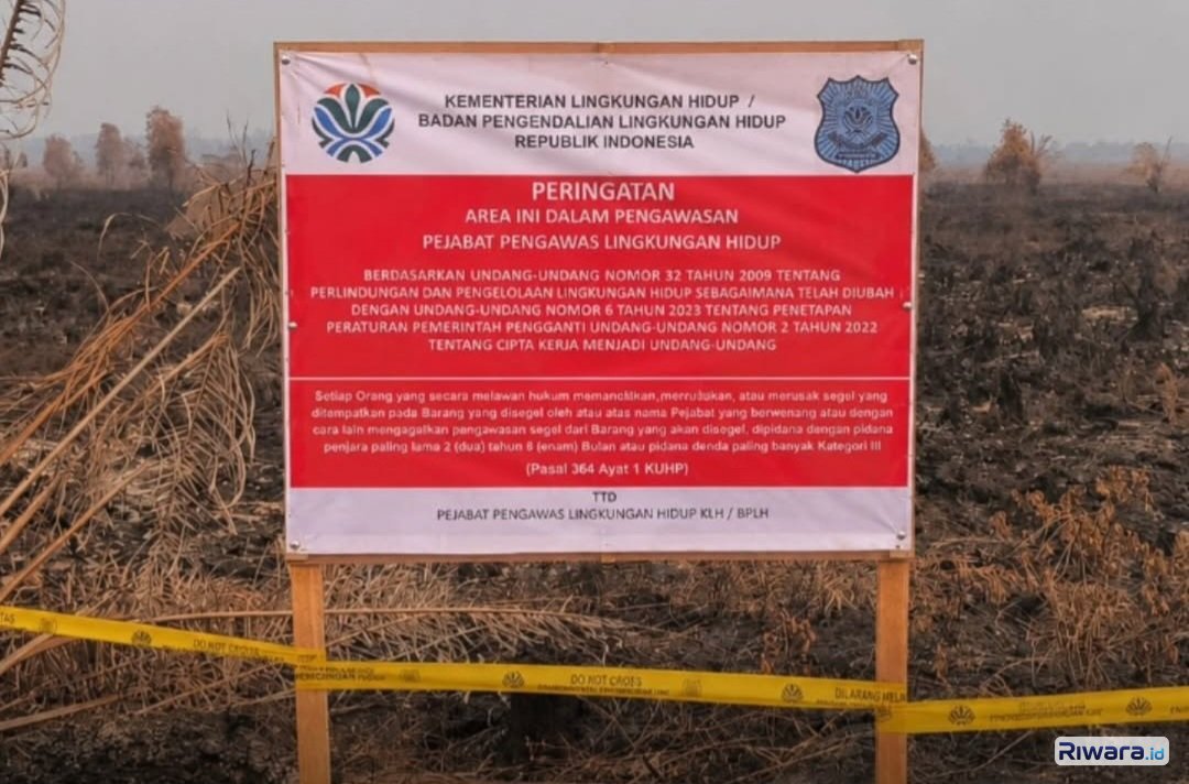 6 Perusahaan Diberi Sanksi karena Karhutla di Kalimantan, Kemenhut juga Temukan Dugaan Tindak Pidana Kehutanan di Wilayah Lain