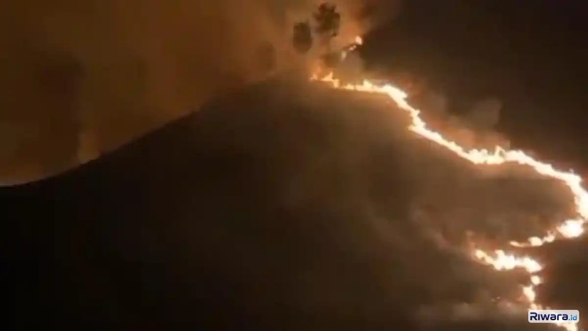 Kebakaran Lagi di Bromo: Savana Penggol dan Bukit Teletubbies Hangus, TNBTS Tutup Pintu Masuk via Jemplang