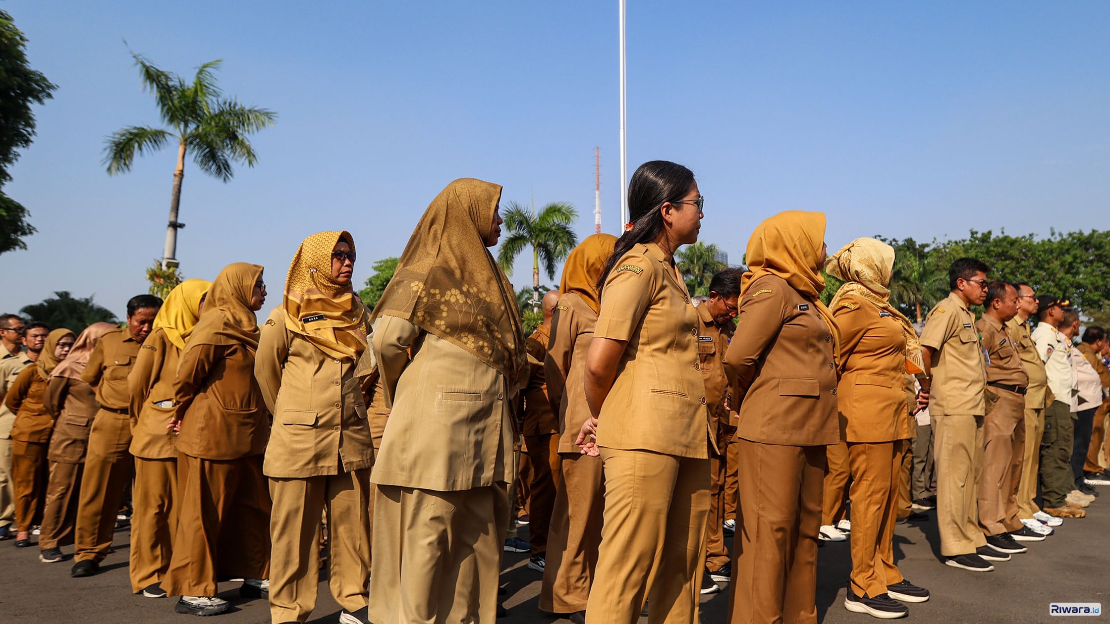 Apakah PPPK Bisa Otomatis Jadi PNS? Ini Penjelasan Resmi Kepala BKN Terkait Syarat dan Batas Usia