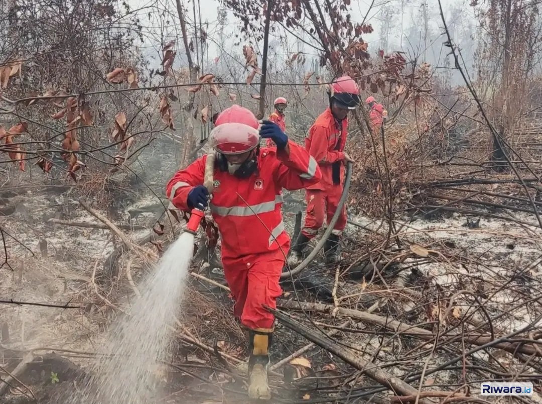 Kebakaran Hutan Meluas di Tanjung Puting, Presiden Prabowo Instruksikan Perekrutan 70 Ribu Polisi Hutan