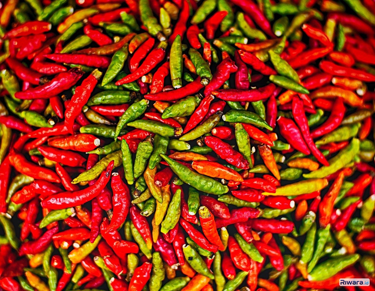 Harga Cabai Rawit Merah di Jateng Tembus Rp90 Ribu per Kilogram, Ini Upaya Pemprov untuk Kendalikan Harga