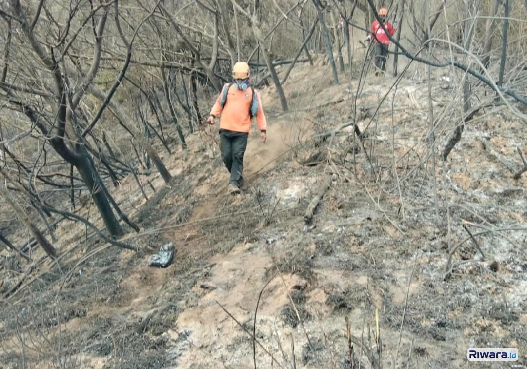 Atasi Karhutla di Gunung Lawu dan Gunung Sumbing, Pemprov Jateng Lakukan Operasi Water Bombing